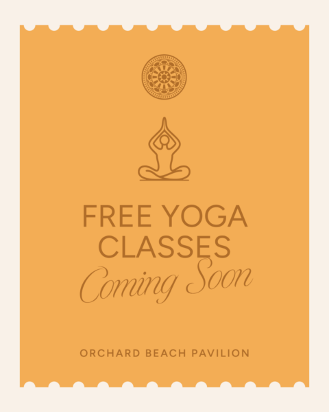 Morning Yoga at the Pavilion